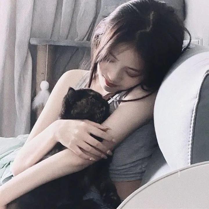 幼狮王朝
